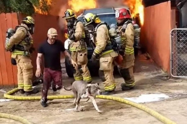 Un hombre sobrepasa la barrera de los bomberos para rescatar a su perro de su casa en llamas
