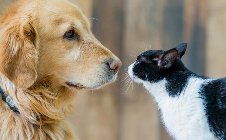 Good News. Por primera vez