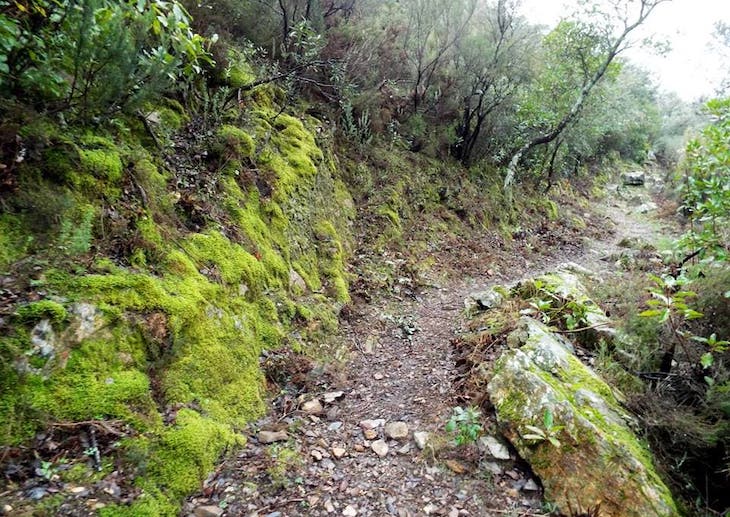 El Risco de Levante entre los senderos más bonitos de España
