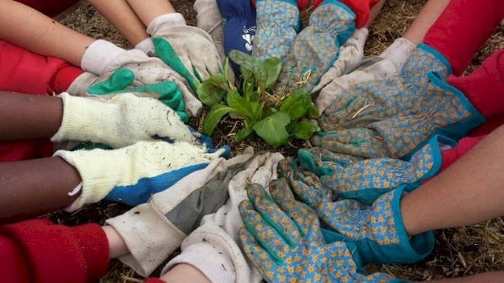 II Jornadas de Huerta y Agroecología en Tudela