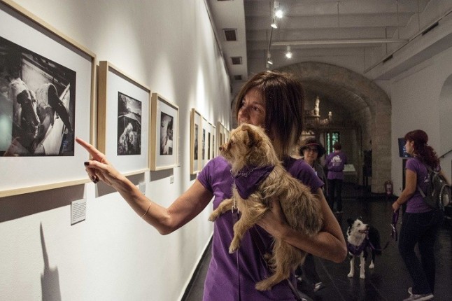 Exposición fotográfica Rescatados