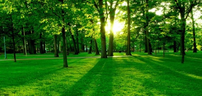 Ocho rutas permitirán conocer