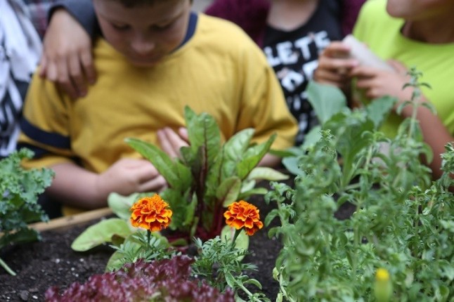 Bilbao acoge una nueva edición del Festival infantil MamaTerra