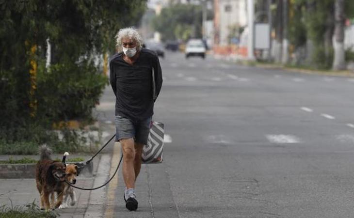 Denunciado un hombre que alquilaba en A Coruña perros para sacarlos a pasear durante el estado de alarma