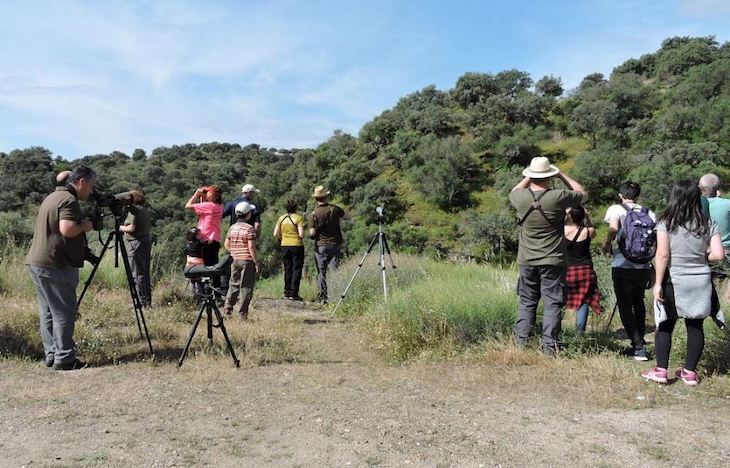 Trujillo y Plasencia celebran este sábado una veintena de actividades como preámbulo de la Feria de Ornitología