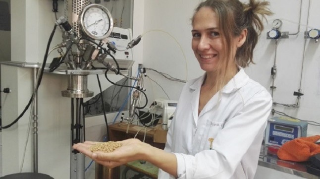 Tecnología verde: Cáscaras de pistacho para limpiar el agua