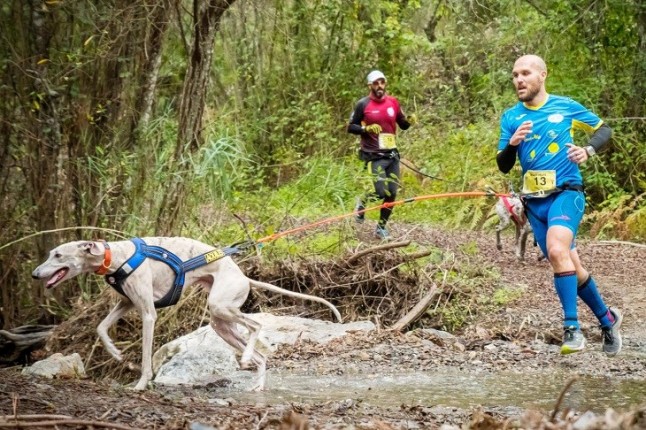 Alcalá de Guadaíra (Sevilla) acoge una prueba de Mushing con más de un centenar de participantes