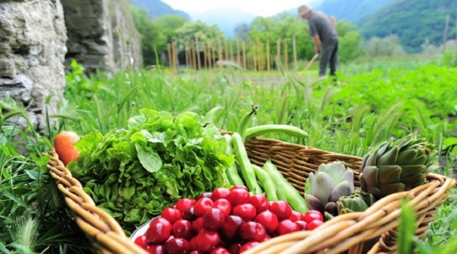 Zaragoza. Abierto el plazo de inscripción para inscribirse en el curso de Agricultura Ecológica