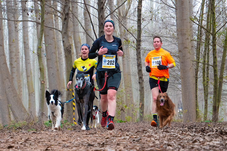 Deporte ‘sano’ y tu mascota
