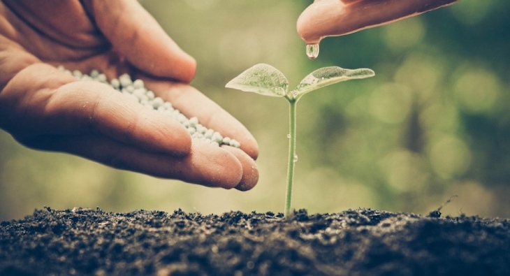 Mitigación del calentamiento global o proyectos para reducir el carbono