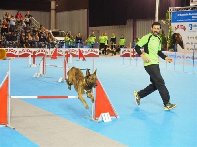 Málaga acogerá en noviembre uno de los principales certámenes caninos del mundo