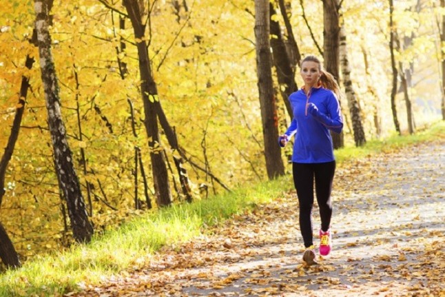 El XX FIA El Yelmo incluirá un programa de actividades deportivas