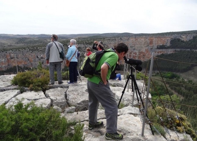 La Asociación de Iniciativas Turísticas de Jaraba organiza una jornada de observación de aves en Calmarza