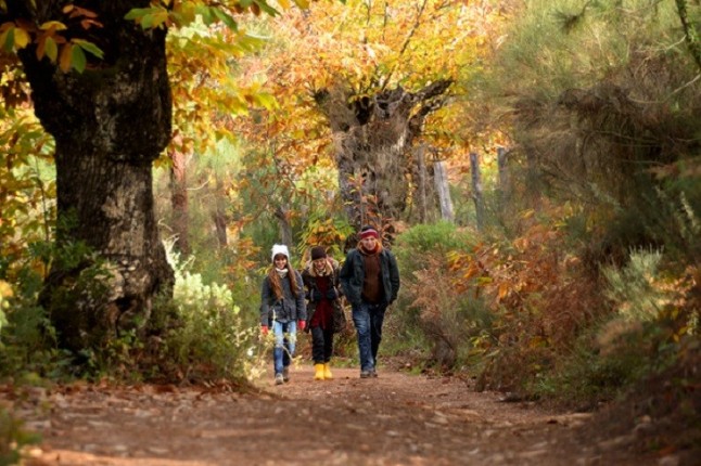 Ecoturismo en la red de senderos naturales de Aracena