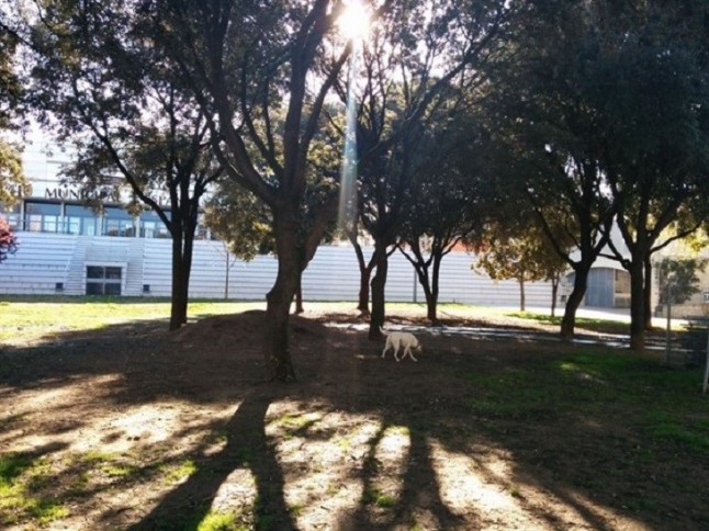 Barcelona habilita una excelente área para perros en Sarrià-Sant Gervasi