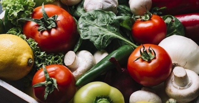 GREECO: ‘Solo Productos Ecológicos’