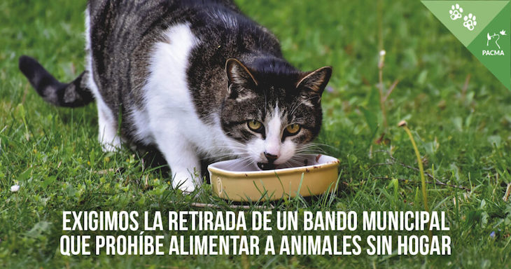 El Ayuntamiento de Quesada (Jaén) sanciona la alimentación de animales en la vía pública