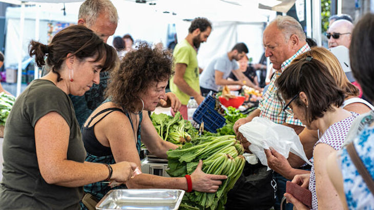 Por la reapertura de los mercados agroecológicos de Zaragoza