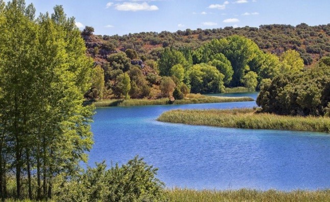Lagunas de Sevilla ecoturismo en estado puro