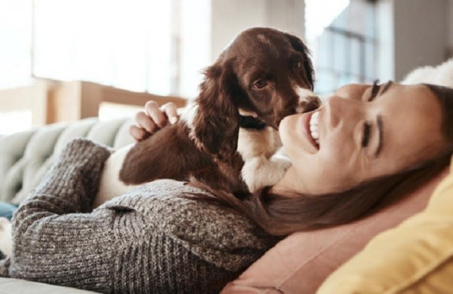 El 86% de los cuidadores de mascotas en España son mujeres