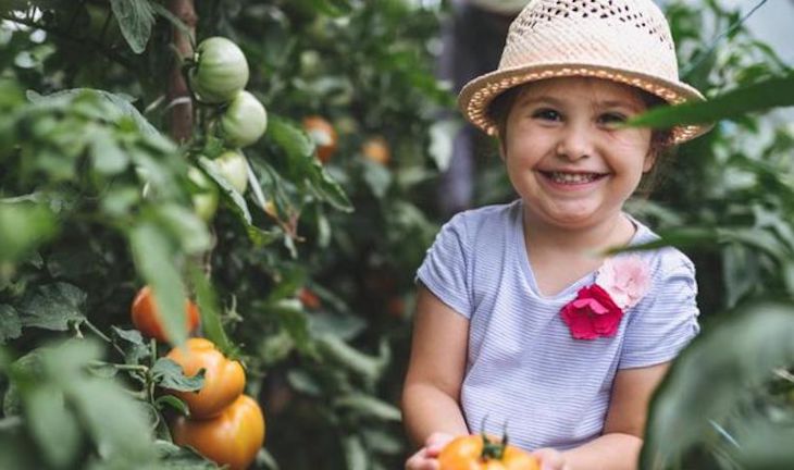 La dieta vegana remodela el metabolismo de los niños