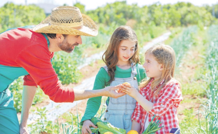 GUMENDI te facilita el acceso a frutas