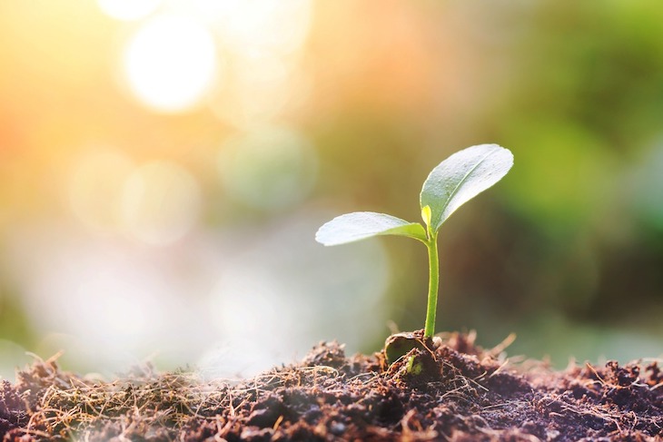 La producción ecológica contra el calentamiento global