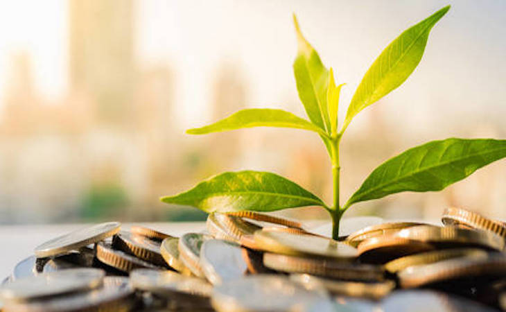 Europa fija criterios para identificar inversiones verdes