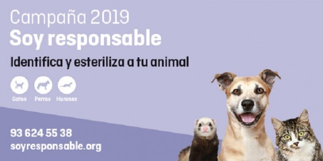 La campaña Soy Responsable 2019 de FAADA continuará durante todo el año