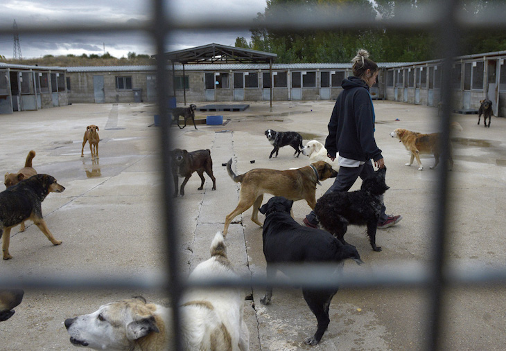 Galicia - Castilla y León ‘refuerzan’ el sistema de recogida