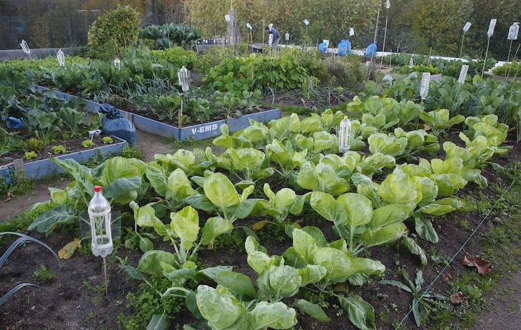 Navarra exige con una sola voz que se permitan actividades agrarias en las huertas de autoconsumo