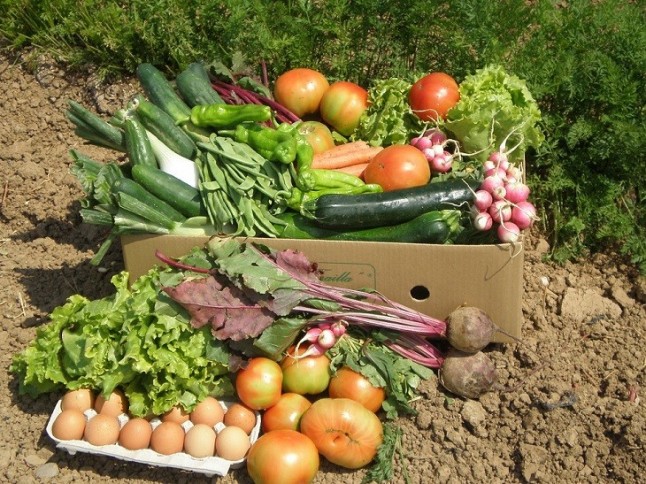 Si después de leer este artículo no consumes productos ecológicos tienes un problema