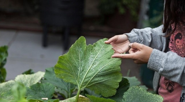 Expertos nacionales e internacionales analizan en La Casa Encendida la calidad de los alimentos y cómo afectan a la salud