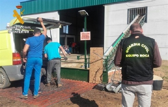 Detenido el propietario de un galgo que apareció ahorcado en una nave abandonada de Badajoz