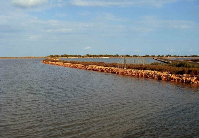 Trabajadores del sector turístico recibirán formación ambiental para poder difundir los valores naturales del Mar Menor