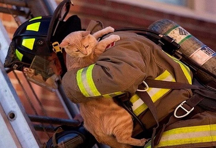 Bomberos de Logroño ‘referentes’ ven el rescate de mascotas