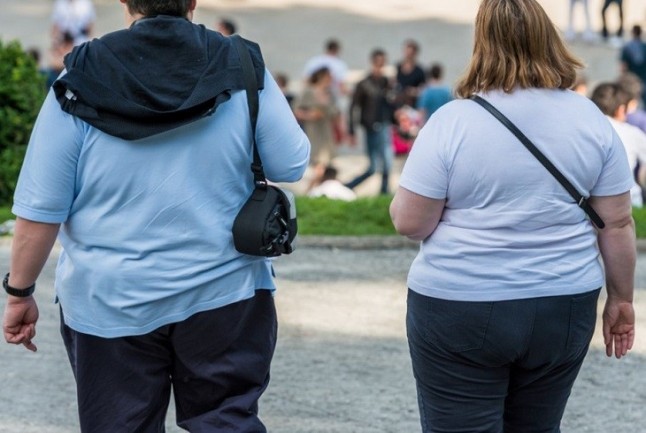 La obesidad es culpable del 3