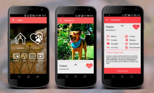 Adopción de animales mediante el uso de la tecnología