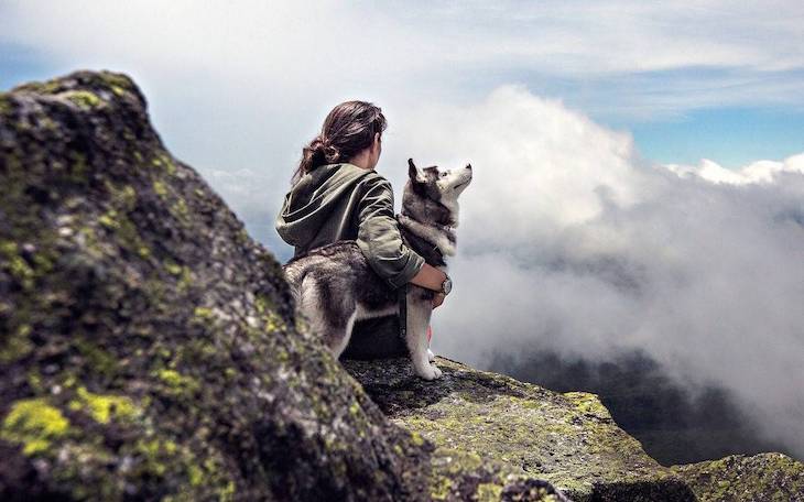 La historia evolutiva de perros y humanos no siempre ha ido de la mano