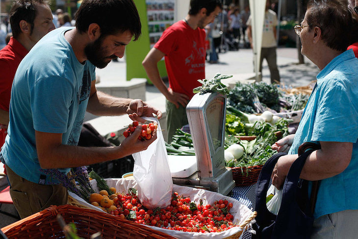 Zaragoza podría fomentar la distribución a domicilio de productores agroecológicos