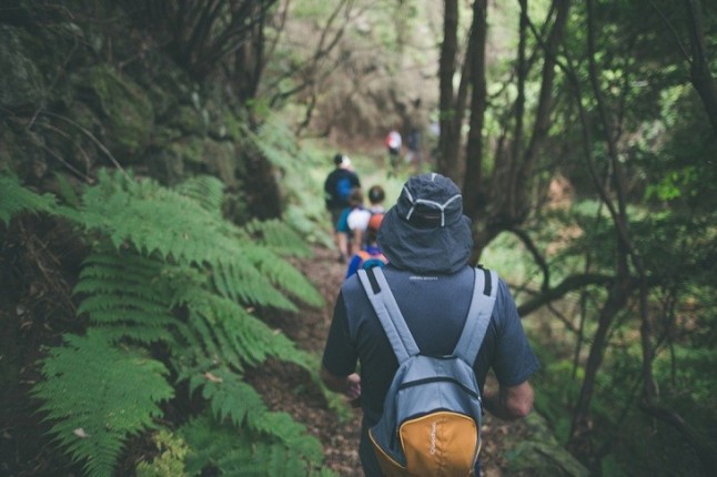 La Palma prepara 18 rutas guiadas para el X Festival Internacional de Senderismo y Montaña