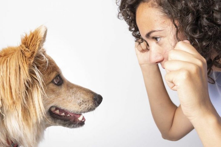 Animales de compañía. La Ley Celaá ignora una asignatura de Educación animal