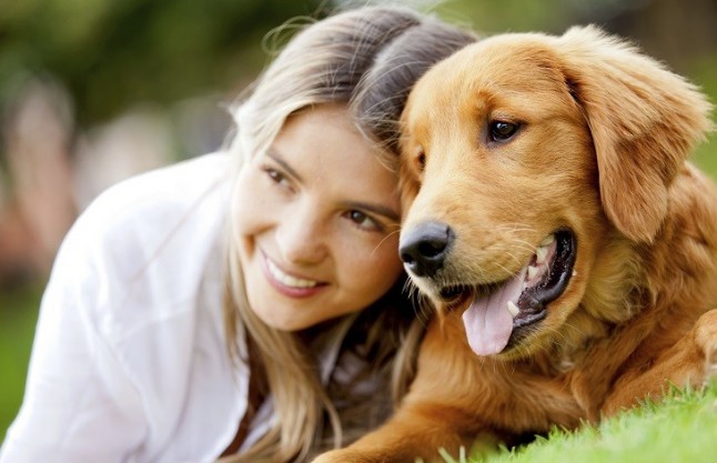 Te explicamos porque a ti sí te gustan los perros