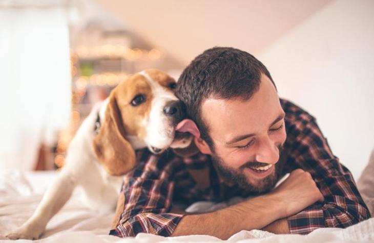 Las mascotas ayudan a controlar el estrés en caso de confinamiento