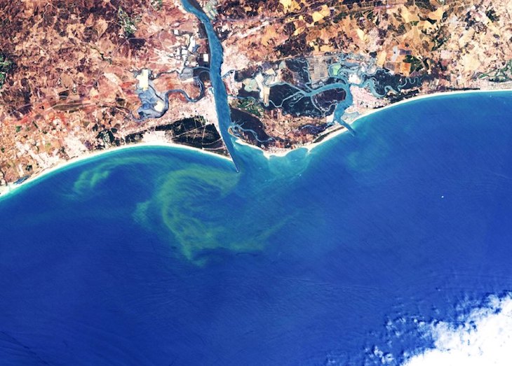 Tecnología verde para detectar y monitorizar las floraciones de algas nocivas