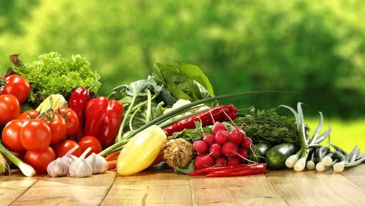 Nueva Alianza Europea por los alimentos vegetales en Europa