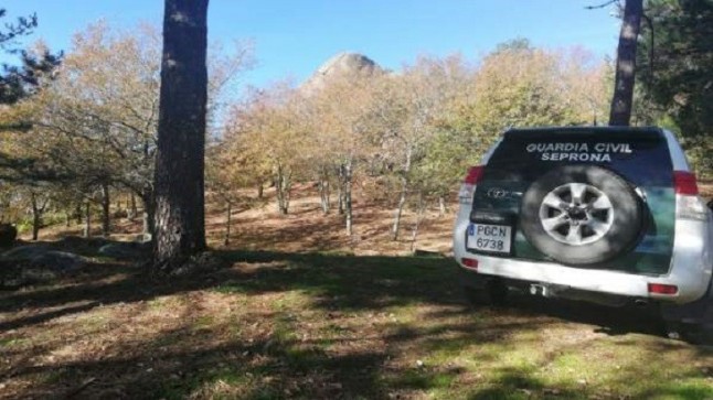 Investigados dos jóvenes de O Porriño (Pontevedra) por abandonar un perro en un monte