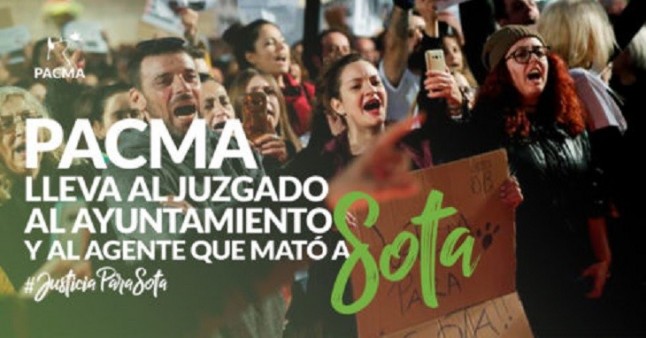 Al Juzgado el caso de la muerte en plena vía pública de la perra Sota