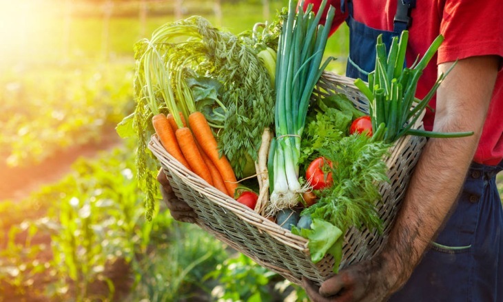 Alimentos ecológicos de Asturias. Propuestas para los estatutos COPAE