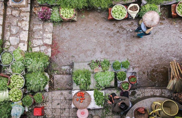 Las tecnologías de la información son un instrumento para la escalabilidad del cooperativismo agroecológico